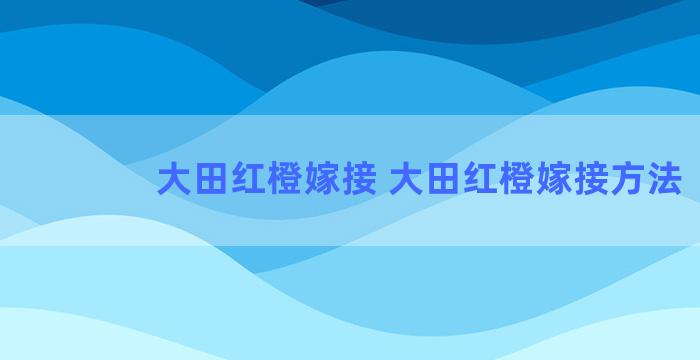 大田红橙嫁接 大田红橙嫁接方法